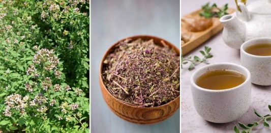 OVO JE NAJZDRAVIJI ČAJ NA SVIJETU: SPRJEČAVA SVE OD OBIČNE PREHLADE DO KANCERA! (RECEPT)