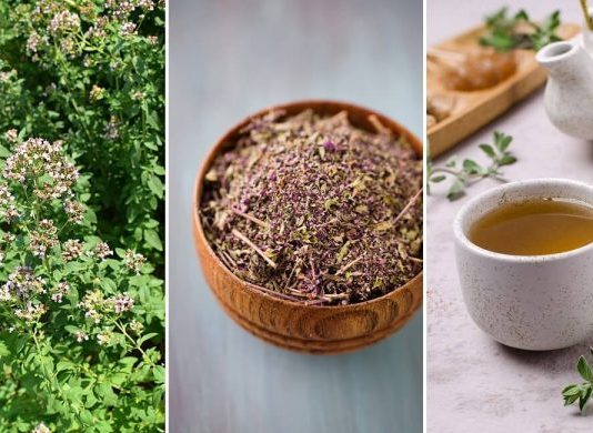 OVO JE NAJZDRAVIJI ČAJ NA SVIJETU: SPRJEČAVA SVE OD OBIČNE PREHLADE DO KANCERA! (RECEPT)