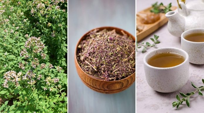OVO JE NAJZDRAVIJI ČAJ NA SVIJETU: SPRJEČAVA SVE OD OBIČNE PREHLADE DO KANCERA! (RECEPT)