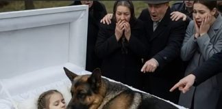 Čuvar Tišine……Njemaćki ovčar promenijo sve…a mala devojćica….