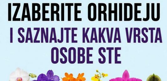Izaberite orhideju i otkrijte šta vaš izbor može da kaže o vašoj ličnosti