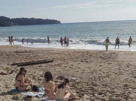 Panika kod Sutomora, JEZIVO MORSKO STVORENJE sledilo kupače!SVI PREDTRAVLJENI POBJEGLI SA PLAŽE GLAVOM BEZ OBZIRA!!!
