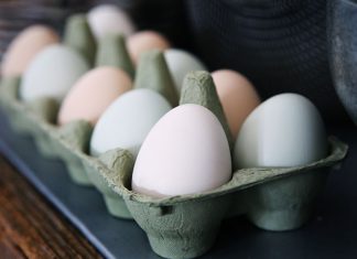 EVO ZAŠTO JE DOBRO DA SVAKOG DANA POJEDETE JEDNO JAJE: Čuda se dešavaju u vašem organizmu, a da to i ne znate