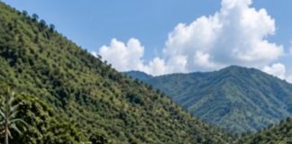 Muž ju je odveo do napuštenog mosta misleći da će tajna nestati s njom… ali istina je izašla na vidjelo