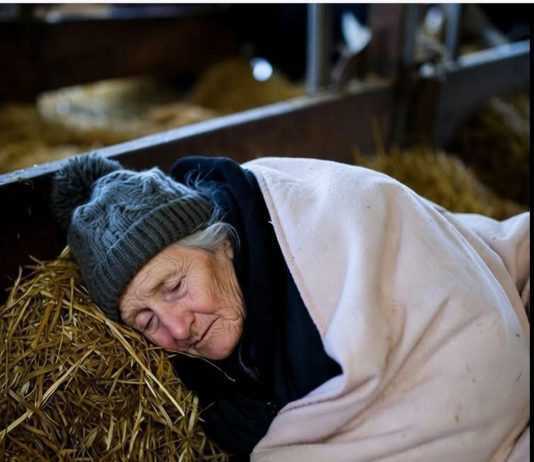 Kada ljudi uđu u poznije godine života, očekuju da će uživati u miru koji su godinama stvarali. Ali……