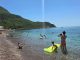 Kupači na plaži u Crnoj Gori NISU MOGLI DA VERUJU OČIMA! Zbog onoga što su videli u PLIĆAKU, odmah su pobjegli… (VIDEO)