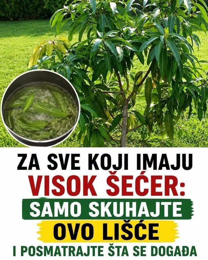 IMATE POVIŠEN ŠEĆER? Pijte čaj od ovog lišća! - featured image IMATE POVIŠEN ŠEĆER? Pijte čaj od ovog lišća! - featured image
