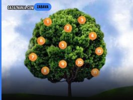 Drvo želja: Zamislite želju, odaberite plod i saznajte što vas čeka! Drvo želja: Zamislite želju, odaberite plod i saznajte što vas čeka! - featured image