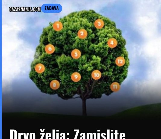 Drvo želja: Zamislite želju, odaberite plod i saznajte što vas čeka! Drvo želja: Zamislite želju, odaberite plod i saznajte što vas čeka! - featured image