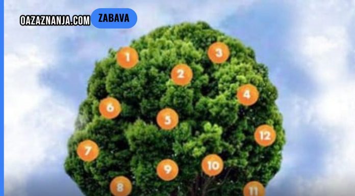 Drvo želja: Zamislite želju, odaberite plod i saznajte što vas čeka! Drvo želja: Zamislite želju, odaberite plod i saznajte što vas čeka! - featured image