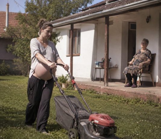 Pokosila sam travu 82-godišnjoj udovici iz susjedstva; sljedećeg jutra sudski izvršitelj pokucao je na moja vrata sa zahtjevom od kojeg mi se sledila krv u žilama. Pokosila sam travu 82-godišnjoj udovici iz susjedstva; sljedećeg jutra sudski izvršitelj pokucao je na moja vrata sa zahtjevom od kojeg mi se sledila krv u žilama. - featured image
