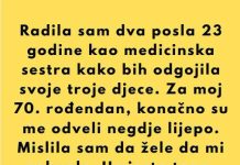 Dvadeset i tri godine radila sam dva posla kao medicinska sestra kako bih odgojila svoje troje djece. Prošle sedmice izveli su me na večeru povodom mog 70. rođendana. Rekli su: „Zaslužuješ više.“ Nasmiješila sam se.