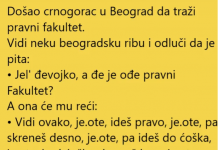 VIC DANA !! CRNOGORAC U BEOGRADU