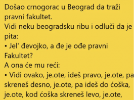 VIC DANA !! CRNOGORAC U BEOGRADU