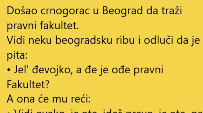 VIC DANA !! CRNOGORAC U BEOGRADU