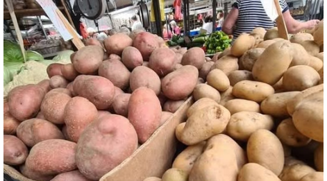 STRUČNJACI OTKRILI DA LI JE BOLJI CRVENI ILI BIJELI KROMPIR: Razlika je velika, a OVAJ je zdraviji