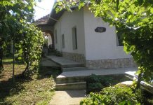 Komšije su je sedmicama gledale kako svake večeri odlazi iza kuće: Ono što su tamo ugledali postalo je glavna priča u mahali