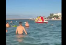 “Marš ti iz mora!” Snimak sa Hrvatske plaže izazvao lavinu komentara: Turisti iznervirani onim što su vidjeli u vodi pa ovo nije normalnoo (VIDEO)