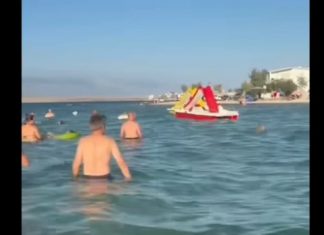 “Marš ti iz mora!” Snimak sa Hrvatske plaže izazvao lavinu komentara: Turisti iznervirani onim što su vidjeli u vodi pa ovo nije normalnoo (VIDEO)