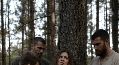 Glasina je razorila povjerenje u porodici: Anna ostala vezana za drvo dok je šuma skrivala istinu Glasina je razorila povjerenje u porodici: Anna ostala vezana za drvo dok je šuma skrivala istinu - featured image