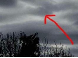 Čovjek Je Fotografsao Tamne 0blake, Kada Je Bolje Pogledao Sliku Trnci Su PREKRILI Njegovo Tijelo