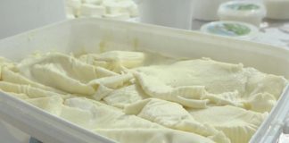 Kardiolog otkrio koja vrsta sira je najgora za srce! Ako ovo pojedete, možete dobiti MOŽDANI UDAR