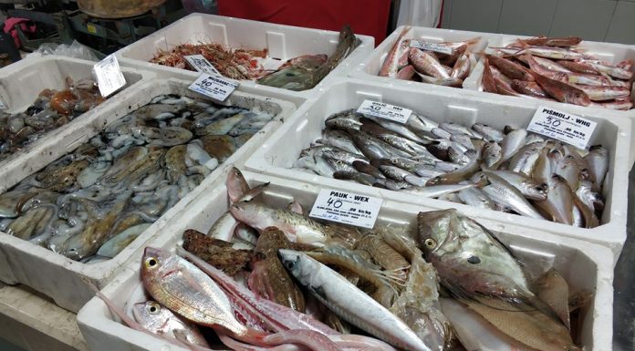 Ovo je najzdravija riba: Bolja od LOSOSA, A MNOGO JEFTINIJA – Evo koliko često je treba jesti