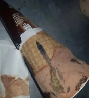 Moja ćerka je otvorila sladoled i unutra je našla nešto čudno — nismo odmah shvatili šta je to bilo.