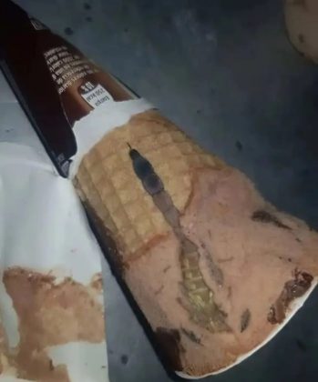 Moja ćerka je otvorila sladoled i unutra je našla nešto čudno — nismo odmah shvatili šta je to bilo.