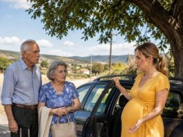 Trudna udovica u sedmom mjesecu trudnoće pronašla je uz rub ceste dvoje starijih ljudi koje je napustio vlastiti sin. Ana je imala dugove, rizikovala da izgubi zemlju koja joj je ostala od supruga i jedva si je mogla priuštiti da se brine o sebi.