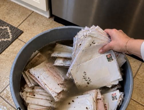 Buduća svekrva ubacila je naše frankirane pozivnice za vjenčanje u kantu prljave vode – a zatim tvrdila da je to bila „samo nezgoda”. Ono što je moj zaručnik nakon toga učinio bilo je njezina najgora noćna mora.