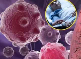 8 namirnica koje smanjuju upale i jačaju imunitet — savršen početak dana