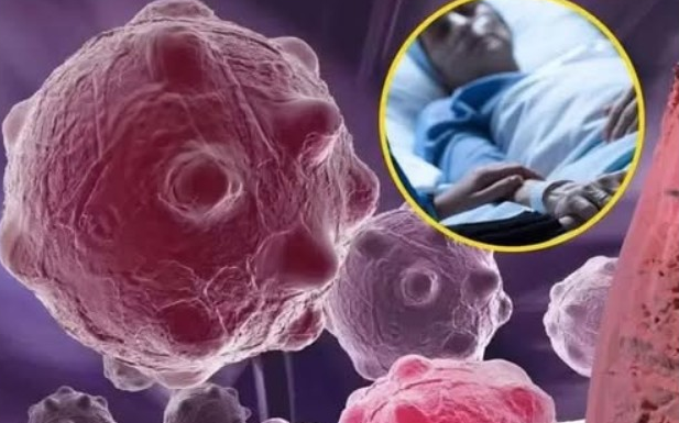 8 namirnica koje smanjuju upale i jačaju imunitet — savršen početak dana
