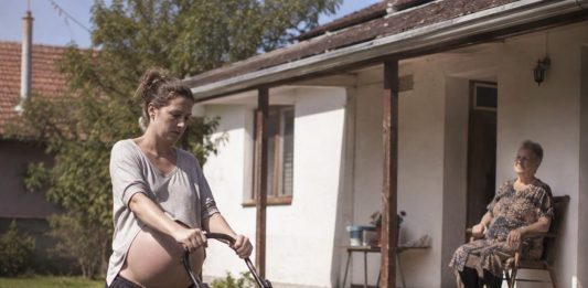 Pokosila sam travu 82-godišnjoj udovici iz susjedstva; sljedećeg jutra sudski izvršitelj pokucao je na moja vrata sa zahtjevom od kojeg mi se sledila krv u žilama.
