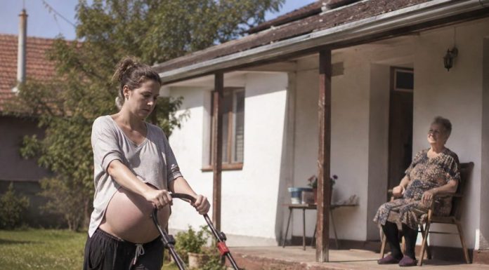 Pokosila sam travu 82-godišnjoj udovici iz susjedstva; sljedećeg jutra sudski izvršitelj pokucao je na moja vrata sa zahtjevom od kojeg mi se sledila krv u žilama.