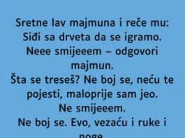 VIC: Majmun i lav