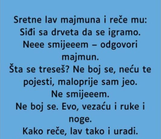 VIC: Majmun i lav