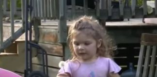 Djevojčica (2) danima ležala u ŠUMI: Kada su je pronašli, svojim riječima je RASPLAKALA cijelu zemlju