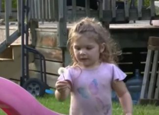 Djevojčica (2) danima ležala u ŠUMI: Kada su je pronašli, svojim riječima je RASPLAKALA cijelu zemlju