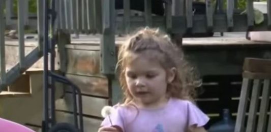 Djevojčica (2) danima ležala u ŠUMI: Kada su je pronašli, svojim riječima je RASPLAKALA cijelu zemlju