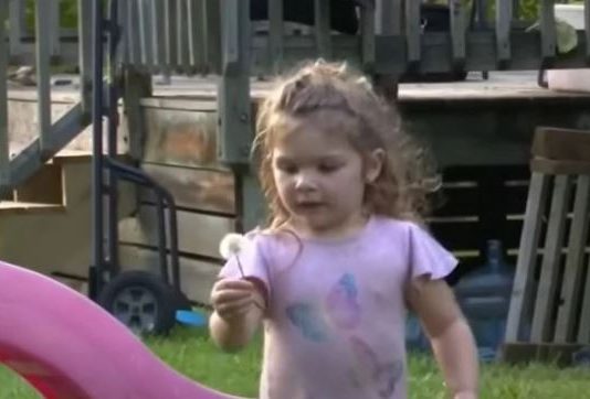 Djevojčica (2) danima ležala u ŠUMI: Kada su je pronašli, svojim riječima je RASPLAKALA cijelu zemlju