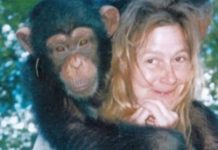 Sandra je godinama gajila šimpanzu i spavala sa njom, ne sluteći šta će je snaći: Taj užas potresao je ceo svet
