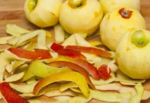 Ni NE SLUTITE koliko je KORA JABUKE korisna za ZDRAVLJE – Kad ovo pročitate, više nikad je nećete bacati!