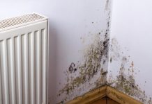 KUĆA VAM SMRDI NA VLAGU, ZIDOVI SE CRNE?? EVO kako da se REŠITE ove NAPASTI, kao da je nikad nije bilo!