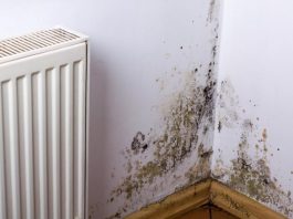 KUĆA VAM SMRDI NA VLAGU, ZIDOVI SE CRNE?? EVO kako da se REŠITE ove NAPASTI, kao da je nikad nije bilo!