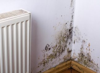 KUĆA VAM SMRDI NA VLAGU, ZIDOVI SE CRNE?? EVO kako da se REŠITE ove NAPASTI, kao da je nikad nije bilo!
