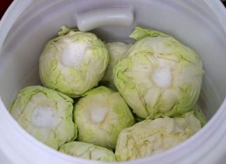 Koliko soli staviti na 10 litara vode za kiseli kupus: Evo prave količine za odličan rasol