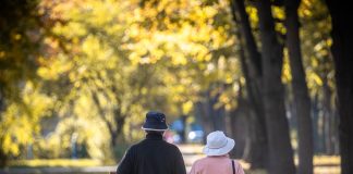 Nikada niste bili zaposleni? Ipak možete do penzije, evo kako se ostvaruje pravo