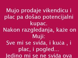 VIC DANA: PRODAJA VIKENDICE