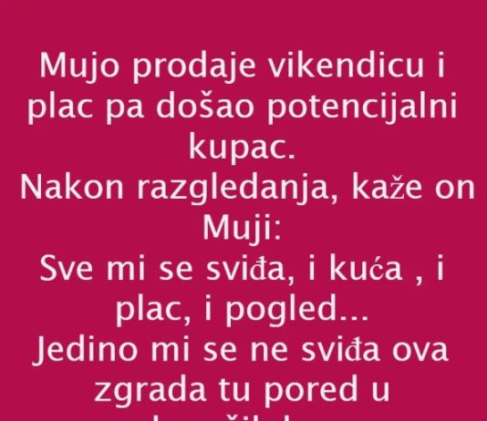 VIC DANA: PRODAJA VIKENDICE